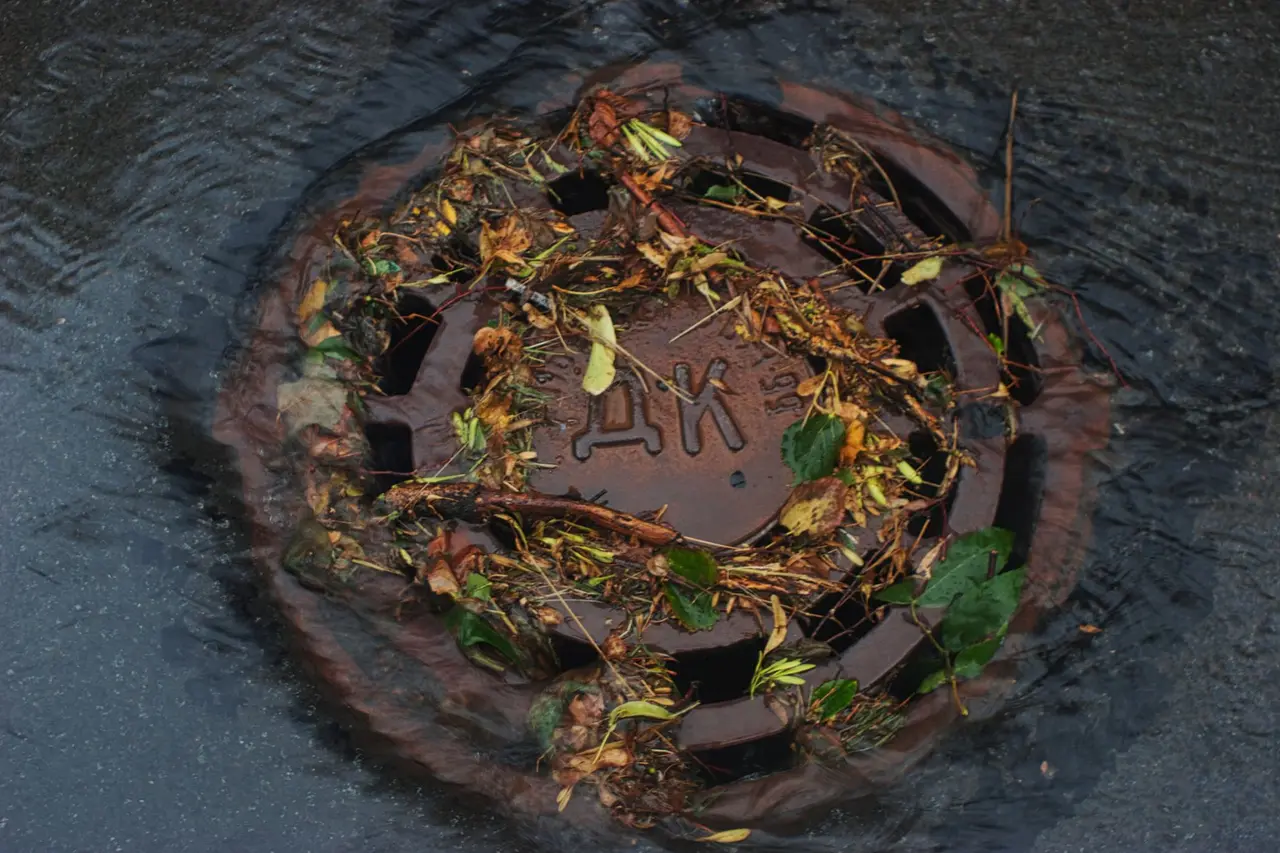 Floor Drain Backup Service