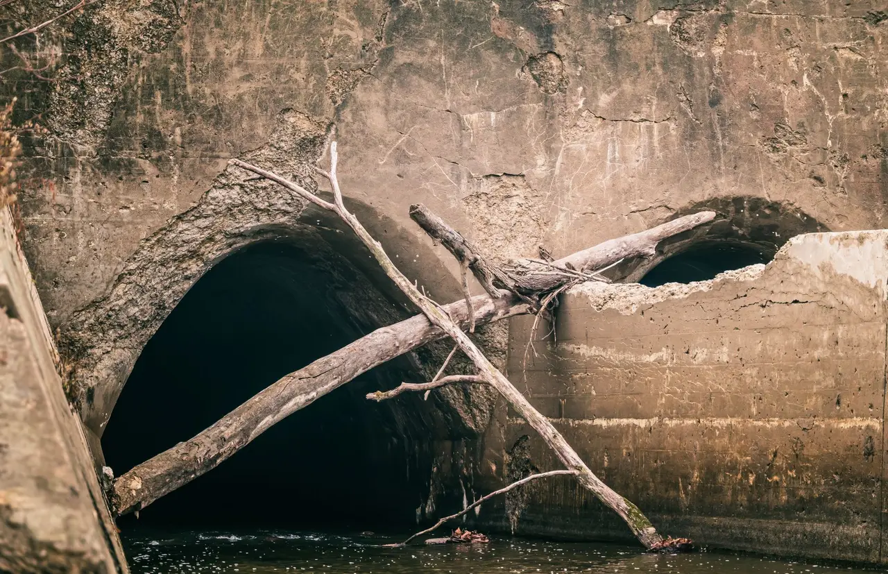 Main Sewer Line Clog Removal