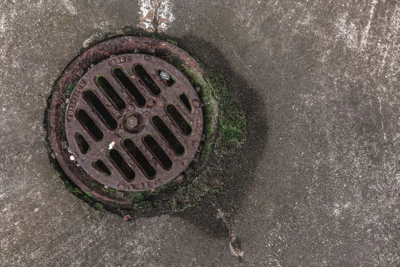 Sewer Line Repair