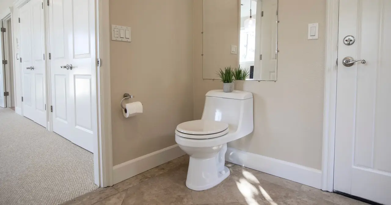 Toilet Backup Repair